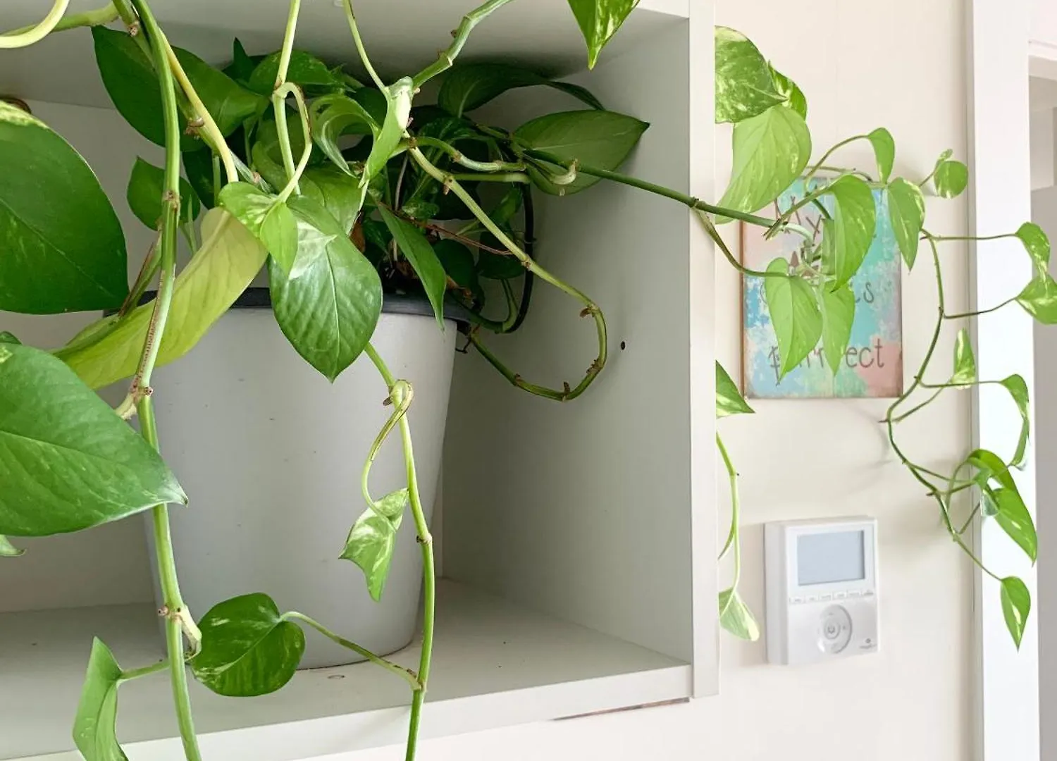 Atico Huelin Playa Apartment Malaga